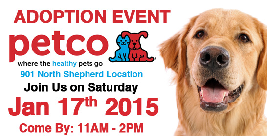 Petco Adoption Event Adore Houston Dog Rescue Group