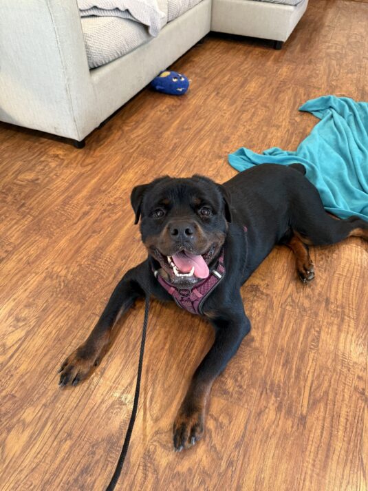 Photo Aug 08 2025, 3 18 10 PM