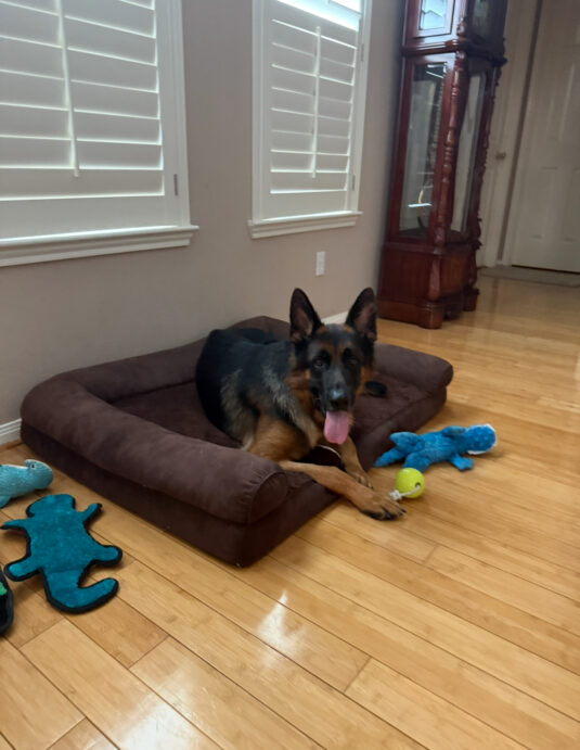 Photo Sep 12 2025, 1 55 06 PM (2)