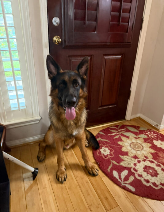 Photo Sep 12 2025, 1 55 06 PM