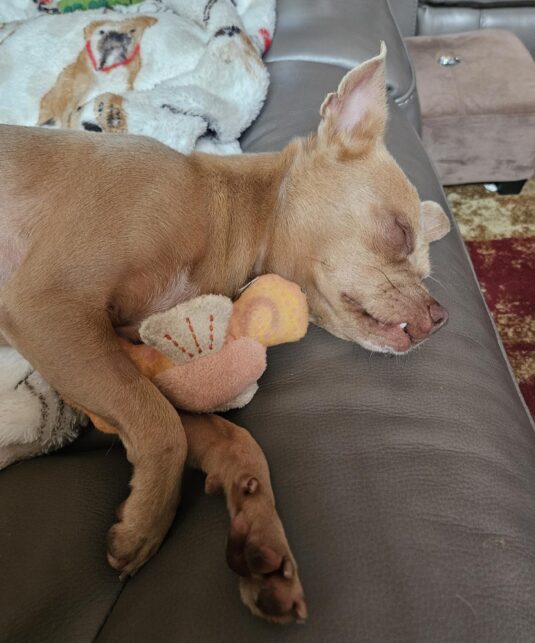 544796564_18534493831044136_6703881851638724704_n