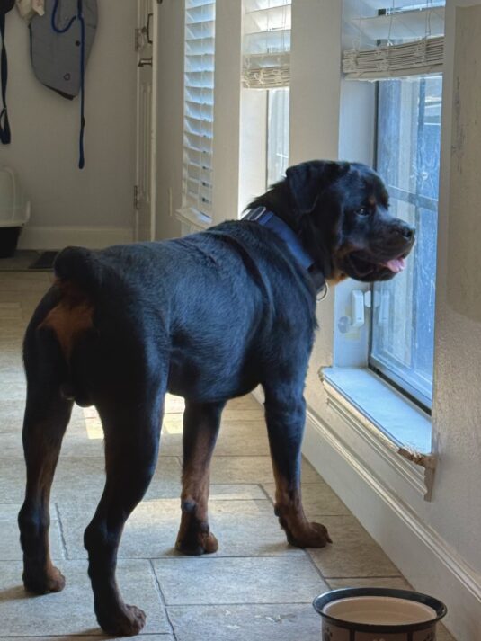 Photo Aug 08 2025, 3 43 28 PM