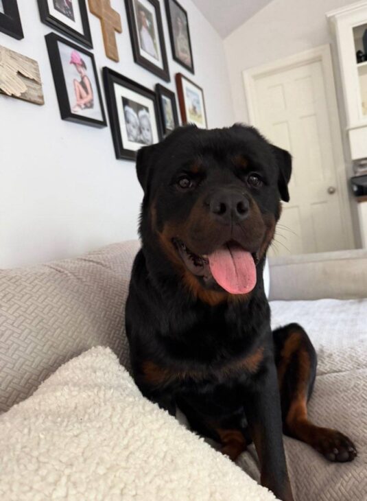 Photo Aug 26 2025, 12 29 40 PM (3)