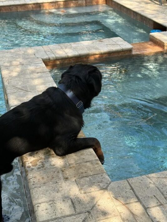 Photo Aug 26 2025, 12 29 40 PM (4) (1)