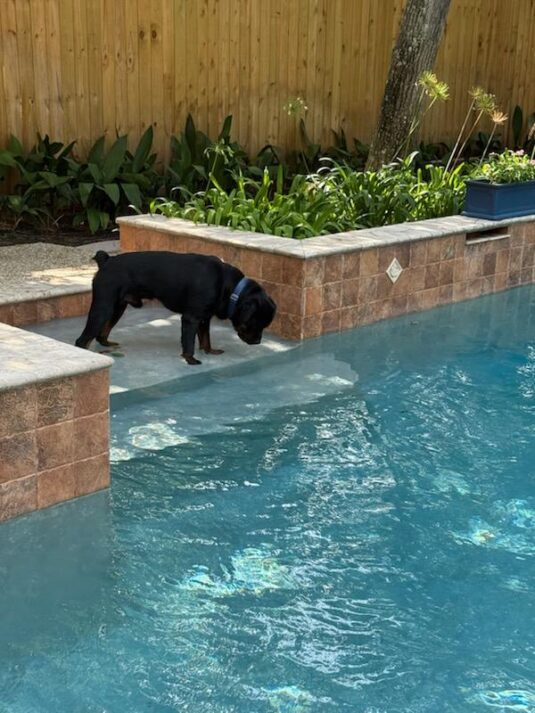 Photo Aug 26 2025, 12 29 40 PM (4)