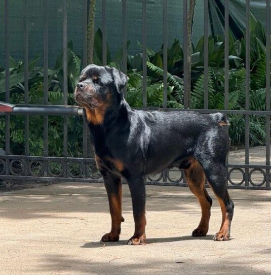 Photo Aug 26 2025, 12 29 40 PM